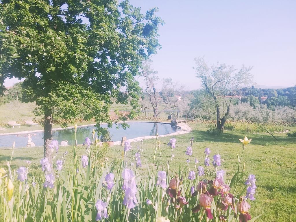 Agriturismo Il Poderino บิบโบนา ภายนอก รูปภาพ