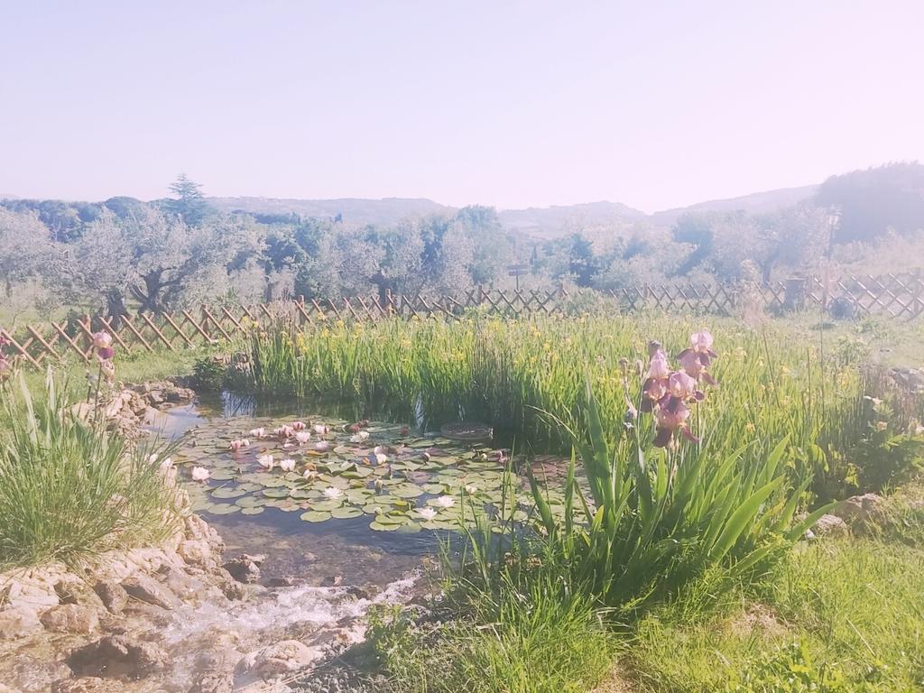 Agriturismo Il Poderino บิบโบนา ภายนอก รูปภาพ