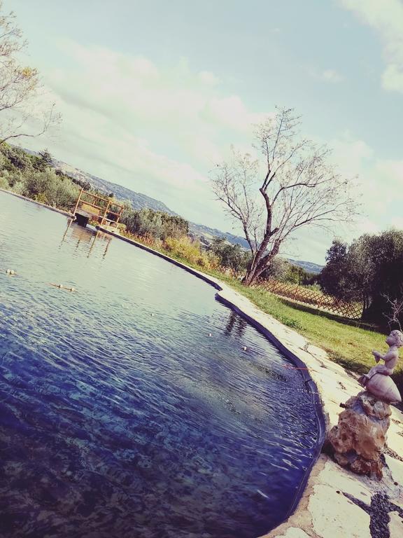 Agriturismo Il Poderino บิบโบนา ภายนอก รูปภาพ