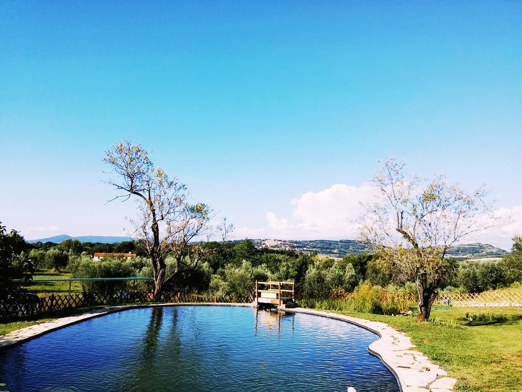 Agriturismo Il Poderino บิบโบนา ภายนอก รูปภาพ