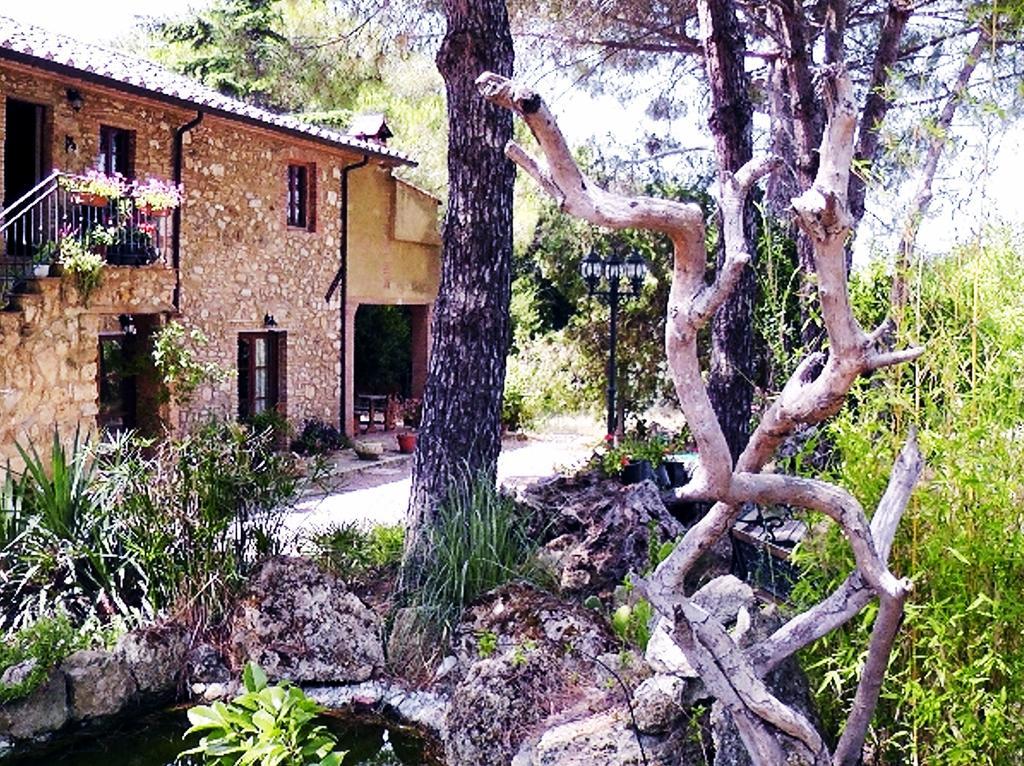 Agriturismo Il Poderino บิบโบนา ภายนอก รูปภาพ