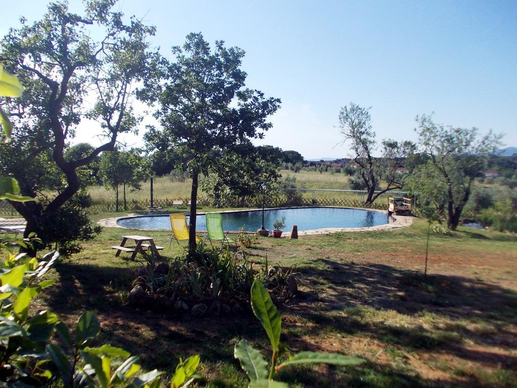 Agriturismo Il Poderino บิบโบนา ภายนอก รูปภาพ