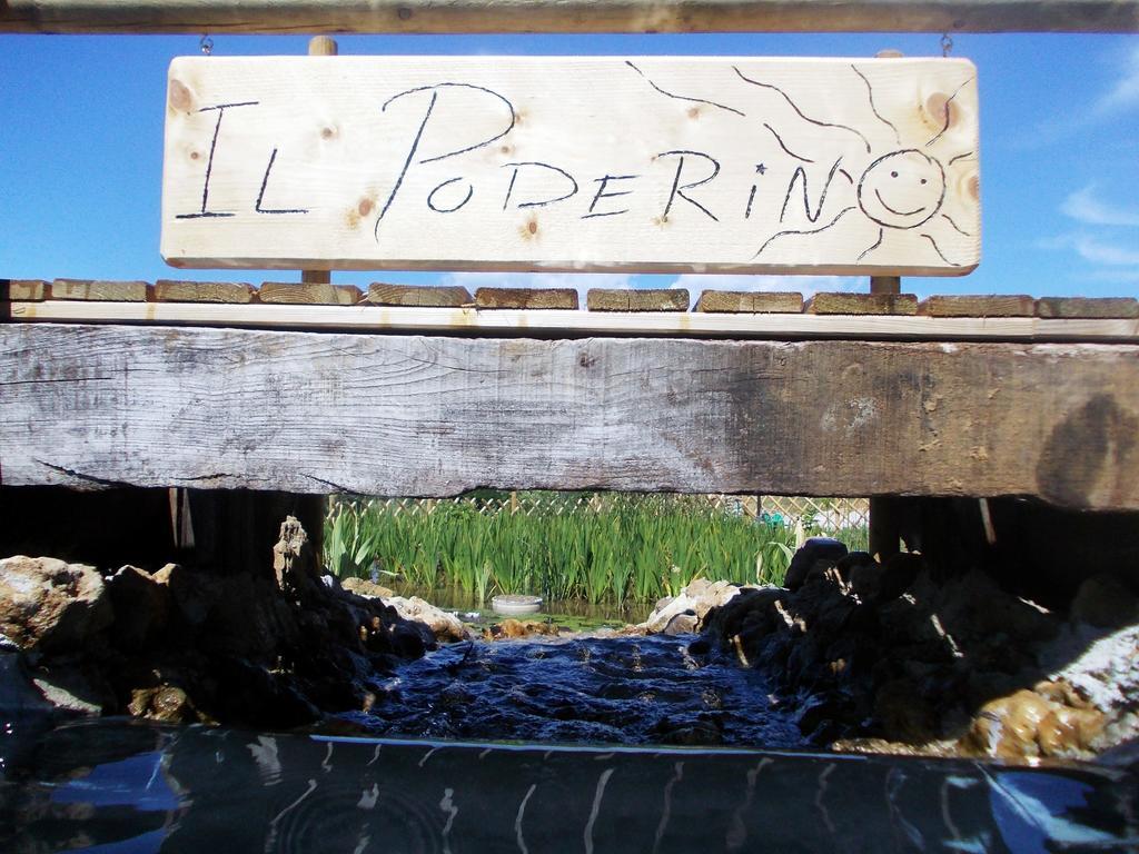 Agriturismo Il Poderino บิบโบนา ภายนอก รูปภาพ