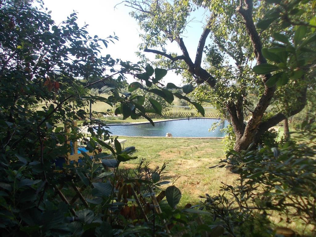 Agriturismo Il Poderino บิบโบนา ภายนอก รูปภาพ