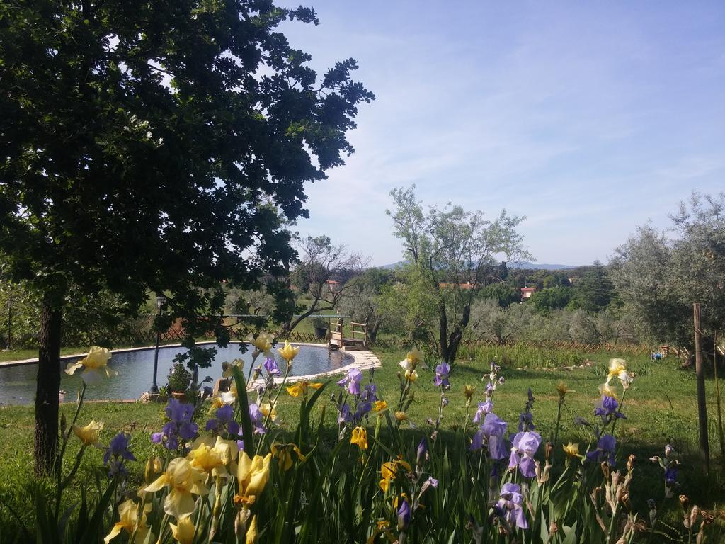 Agriturismo Il Poderino บิบโบนา ภายนอก รูปภาพ