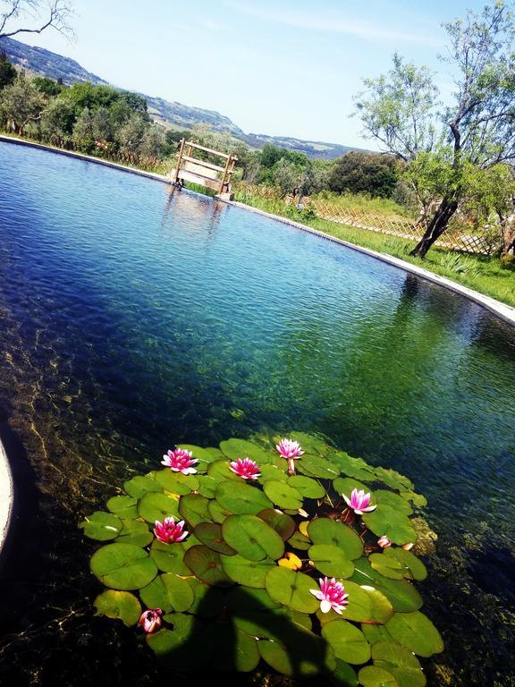 Agriturismo Il Poderino บิบโบนา ภายนอก รูปภาพ