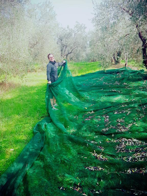 Agriturismo Il Poderino บิบโบนา ภายนอก รูปภาพ