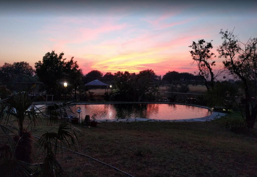 Agriturismo Il Poderino บิบโบนา ภายนอก รูปภาพ