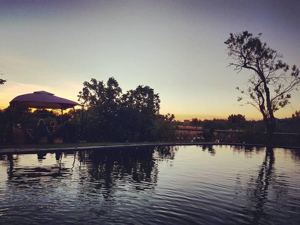 Agriturismo Il Poderino บิบโบนา ภายนอก รูปภาพ