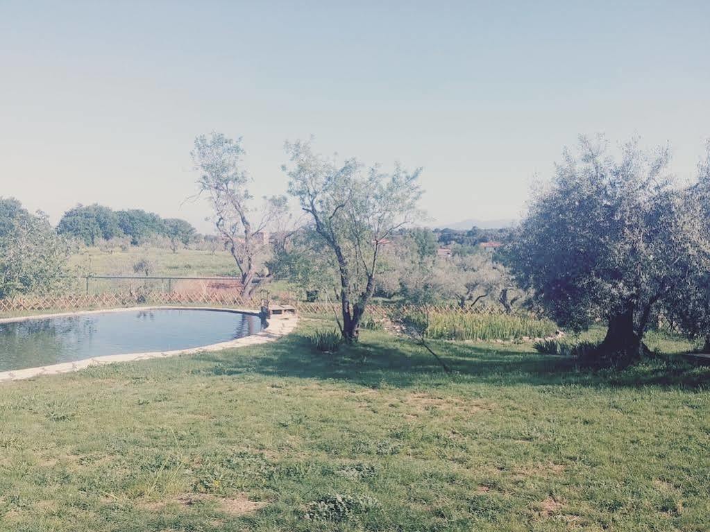 Agriturismo Il Poderino บิบโบนา ภายนอก รูปภาพ